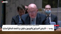كلمة مندوب روسيا في الأمم المتحدة أمام جلسة لمجلس الأمن