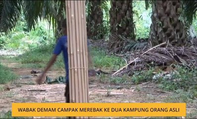 Wabak demam campak merebak ke dua kampung Orang Asli
