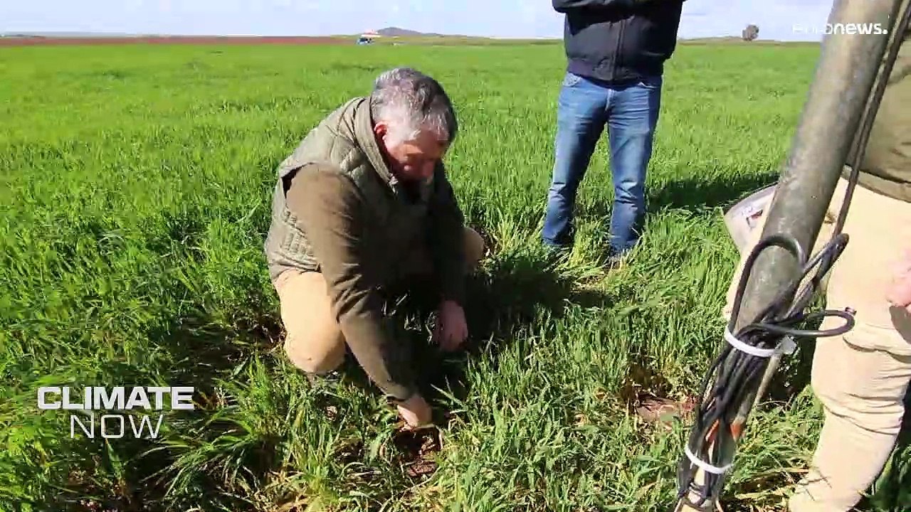 Wie lebt man mit der Dürre? Ein Bauer aus Portugal macht es vor