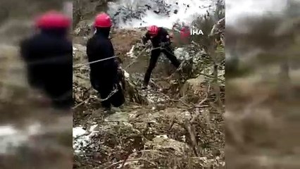 Uçuruma yuvarlanan keçi 6 saatlik çalışmayla kurtarıldı