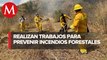 Alcaldesa de Álvaro Obregón supervisa trabajo de prevención de incendios forestales