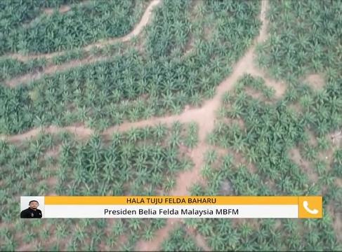 Komen Tengahari 25 Jun: Haha tuju Felda baharu & perspektif kesihatan pencemaran udara di Pasir Gudang