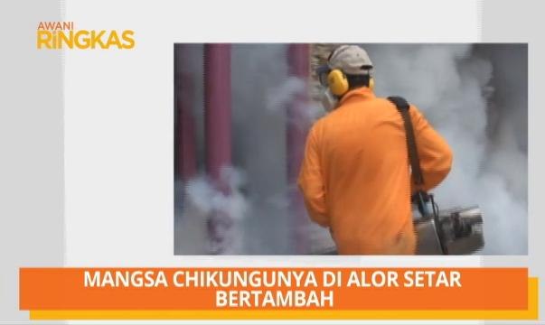 AWANI Ringkas: Tiada transaksi, Chikungunya di Alor Setar meningkat & seludup kura-kura
