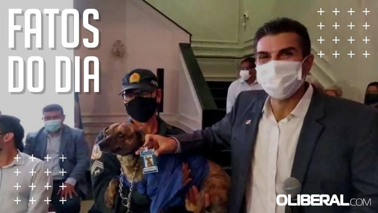 Governo do Pará lança programa Pará Pet