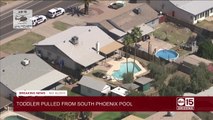 Toddler extremely critical after being pulled from pool in south Phoenix