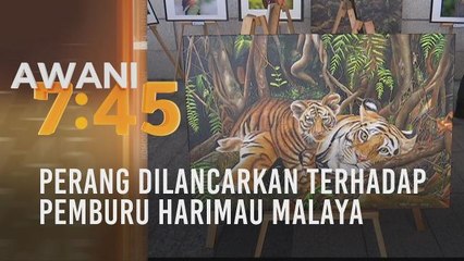 Perang dilancarkan terhadap pemburu harimau malaya