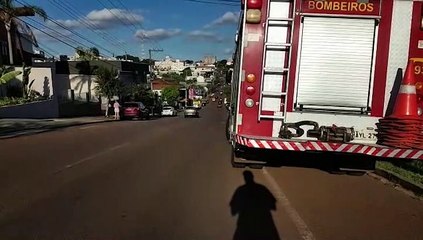 Corpo de Bombeiros é acionado para recolher gambá