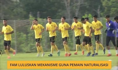 FAM luluskan mekanisme guna pemain naturalisasi