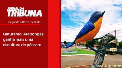 Gaturamo: Arapongas ganha mais uma escultura de pássaro