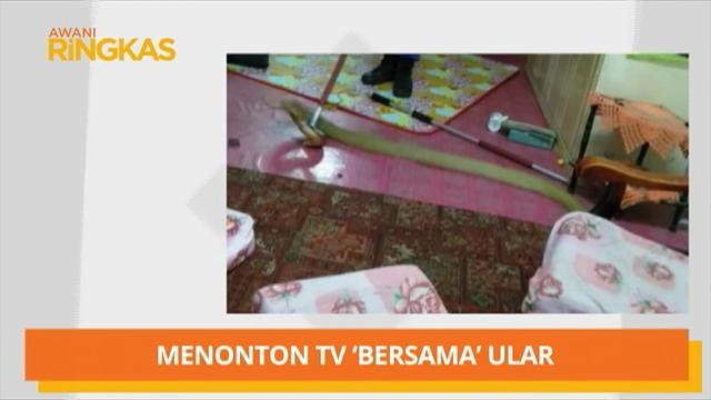 AWANI Ringkas: IPT diminta anjur debat, diskusi ilmu kandungan buku - Maszlee & menonton tv 'bersama' ular