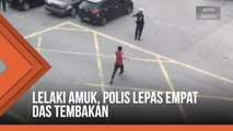 Lelaki amuk, polis lepas empat das tembakan