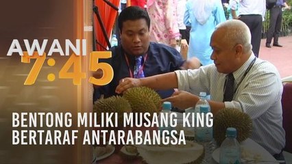 Bentong miliki Musang King bertaraf antarabangsa