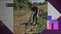 h live!: Pupuk masyarakat amalkan gaya vegetarian - Maya Karin