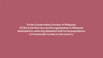 Thank You, Heroes: Turtle Conservation Society
