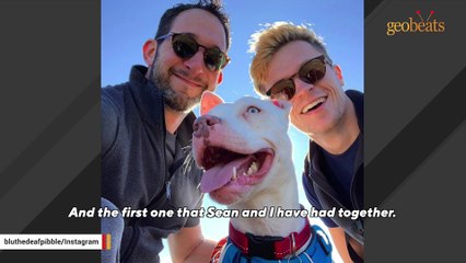 Nobody visited deaf shelter dog. Then she met two dads.