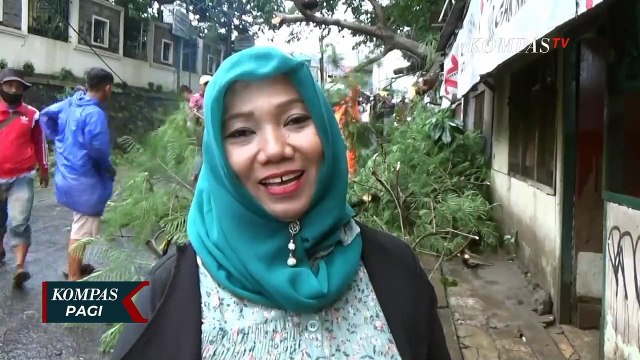 Hujan Deras dan Angin Kencang, Pohon Tumpang Timpa Warung, Kaca dan Ruangan SKPD Tangsel Rusak