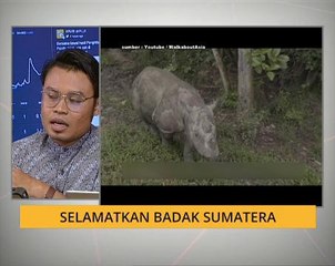 Cerita Sebalik Berita: Selamatkan Badak Sumatera