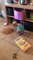 Toddler Makes Mess In Kitchen By Emptying Box Of Cereals On Floor