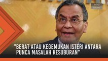 Isteri gemuk antara punca masalah kesuburan