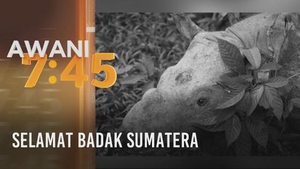Selamat badak Sumatera