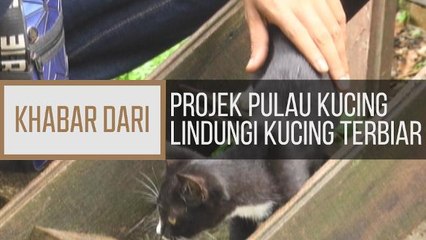 Khabar Dari Pahang: Projek Pulau Kucing lindungi kucing terbiar