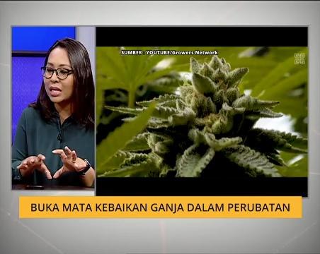 Cerita Sebalik Berita: Buka mata kebaikan ganja dalam perubatan