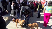Rescate de perros en Cd. Juárez