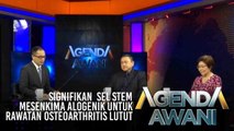 Agenda AWANI: Signifikan sel stem mesenkima alogenik untuk rawatan osteoarthritis lutut