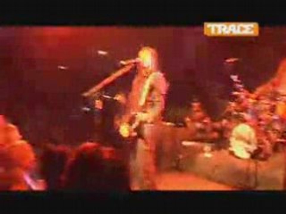 michael franti doc