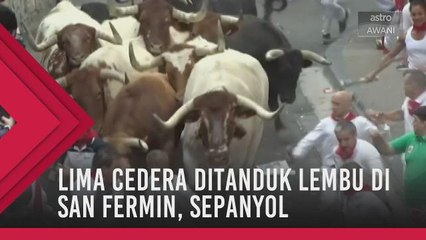 Lima cedera ditanduk lembu di San Fermin, Sepanyol
