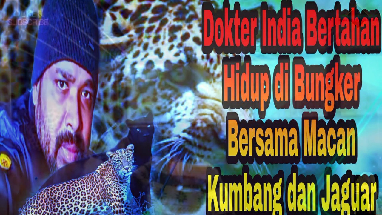 Dokter India Bertahan Hidup di Bungker Bersama Macan Kumbang dan Jaguar