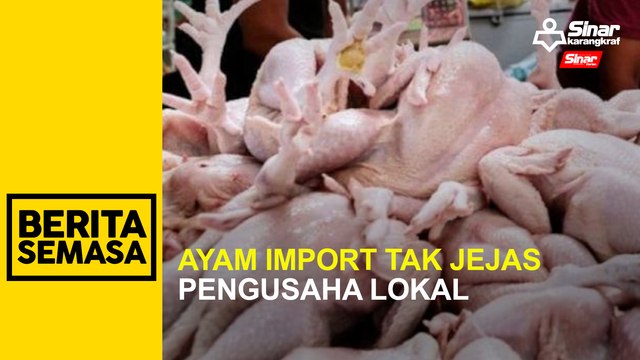 Ayam import tak jejas pengusaha lokal