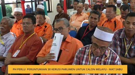Pakatan Harapan perlu memperuntukkan 30 lagi kerusi Parlimen untuk calon Melayu - Mat Sabu