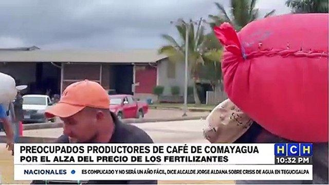 Productores de café preocupados por alza en precio de fertilizantes