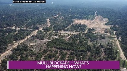 Let's Talk with Sharaad Kuttan (Episode 172)