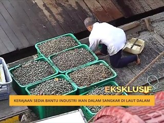 [EKSKLUSIF] Kerajaan sedia bantu industri ikan dalam sangkar di laut dalam