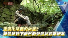 重度失眠者的救星? 錄音師錄下自然的聲音解救眾網友