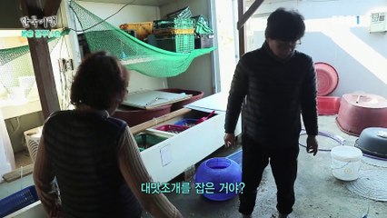 한국기행 - Korea travel_봄을 꿈꾸나요 2부- 갯마을 로맨스_#002