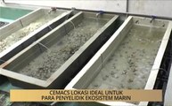 Khabar Dari Pulau Pinang: CEMACS lokasi ideal untuk para penyelidik ekosistem marin
