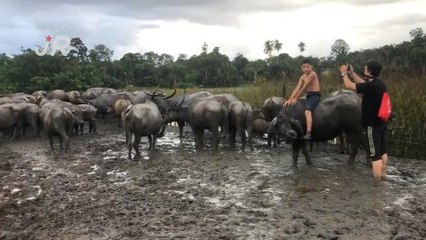#AWANIJr: "Behind the Scenes" Syukor Khamis - Hero kanak-kanak