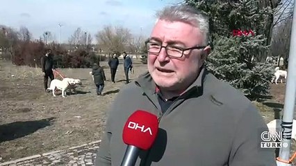 Akbaş çoban köpeklerinin ırk geçmişleri incelenecek