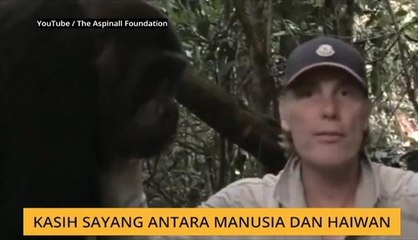 #Bualan 21 Jan: Kasih sayang antara manusia dan haiwan