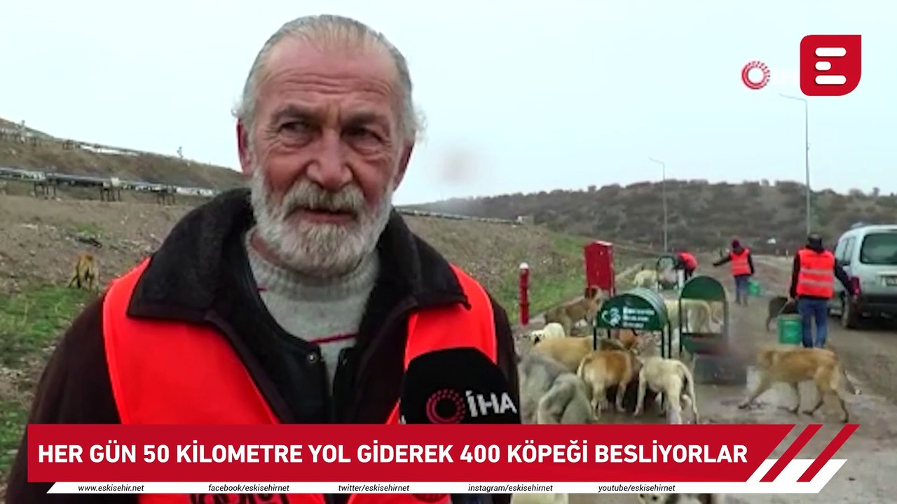 Her gün 50 kilometre yol giderek 400 köpeği besliyorlar