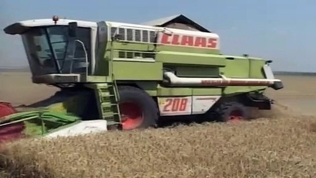 В ООН опасаются дефицита зерна