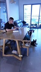 Linda Ngô - Phong Đạt