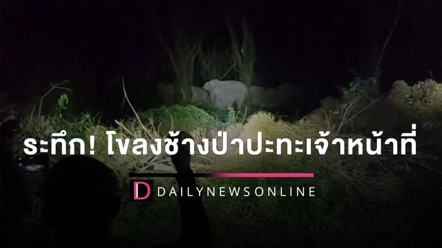 ระทึก! โขลงช้างป่าปะทะเจ้าหน้าที่ หลังบุกพังประตูรั้วรีสอร์ทดัง | HOTSHOT เดลินิวส์ 15/03/65