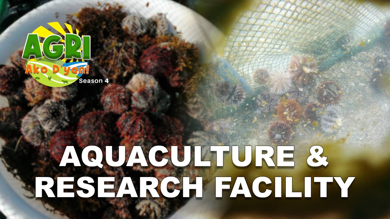 Aquaculture & Research Facility