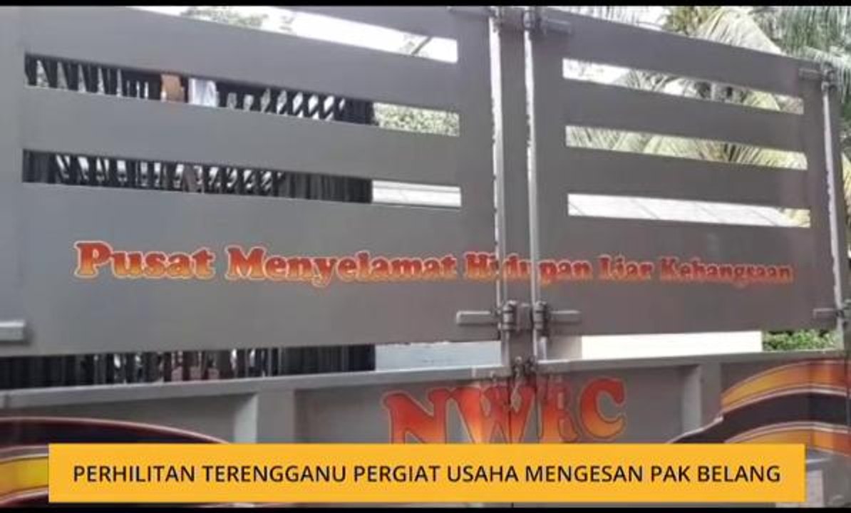 Perhilitan Terengganu pergiat usaha mengesan pak belang