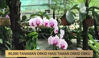 AWANI - Sarawak: 80,000 tanaman orkid hiasi Taman Orkid DBKU