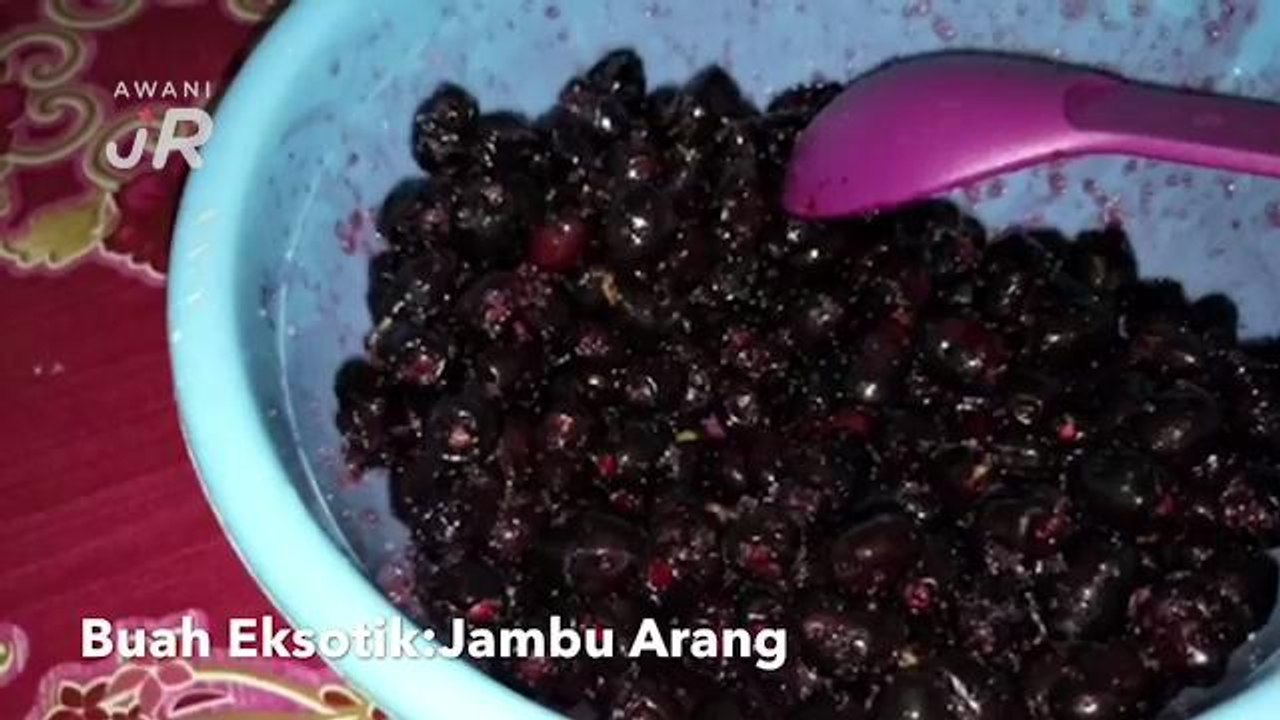 #AWANIJr: Anggur VS Jambu Arang